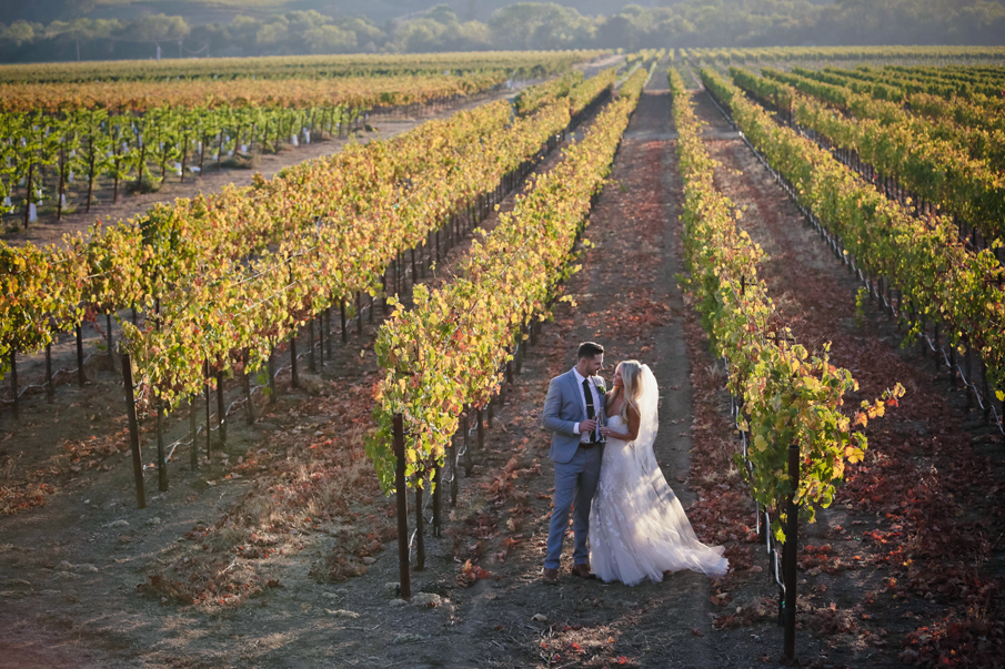 wine country vineyard wedding pictures